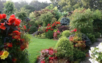 «Greensad»: купить все для сада и огорода в Киеве