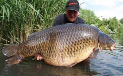 Рекомендуемые направления для активного досуга