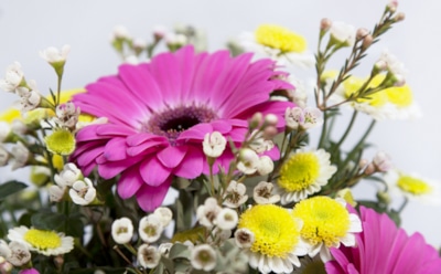 Как продлить жизнь букету в жару