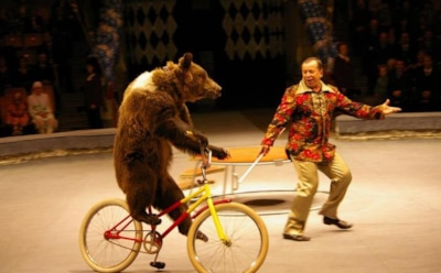 Где выгодно приобрести билеты в лучшие цирки Москвы