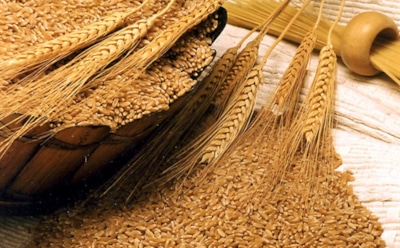 Как происходит очистка зерна