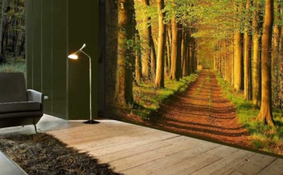 Какие фотообои выбрать