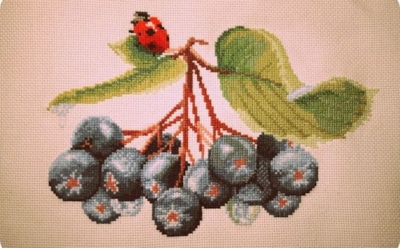 Вышиваем крестиком: выразить себя и исполнить желание