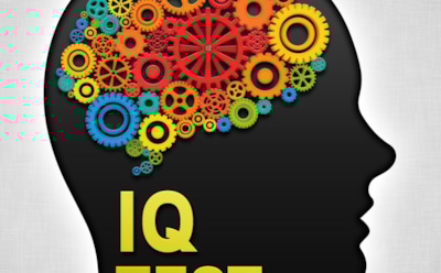 Доверять ли IQ тестам?
