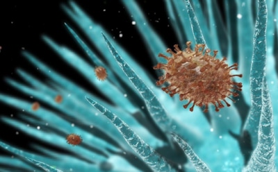 Новая "чума XXI века": в 2050 году человечество погубят супербактерии