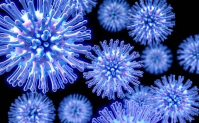 Ученые назвали  три вируса, способные уничтожить все человечество