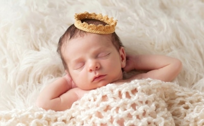 СМИ: во Владимирской области у Путина появился брат Шойгу