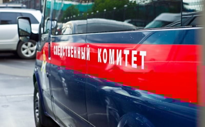 Собак, загрызших девочку на Урале, усыпили, хозяева задержаны