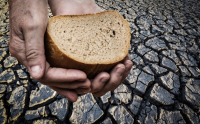 "Гуманитарная катастрофа": через 10 лет на Земле наступит голод