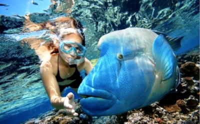 В Таиланде туристке из РФ грозит тюрьма за кормление рыбок хлебом