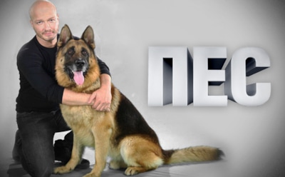 Сериал «Пёс»: актёры и роли