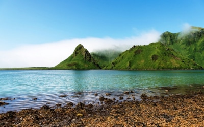 СМИ узнали о плане сотрудничества Японии с РФ на Курильских островах