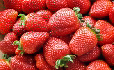 "Какого цвета клубника?": новая оптическая иллюзия завоевывает соцсети