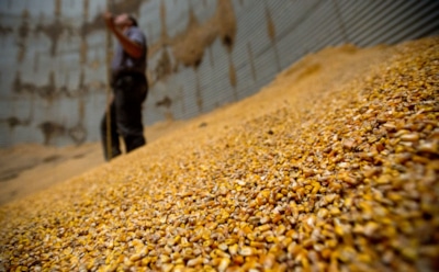 "Ъ": Турция приостановила импорт российского зерна