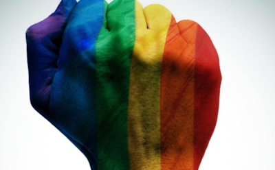 Биологи выявили еще одну причину развития гомосексуализма