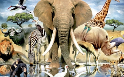 10 интересных фактов о животных