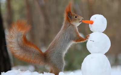 Интересные факты о белках