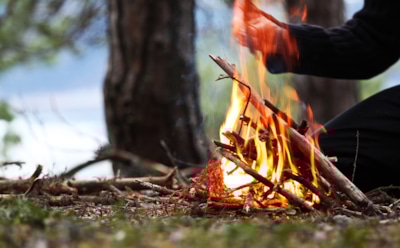 В СФ намерены поднять штрафы за розжиг костров до миллиона рублей