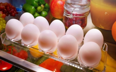 Ученые: дверца холодильника является худшим местом для хранения яиц