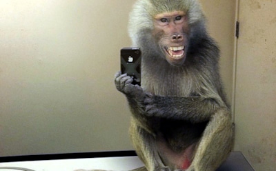 Самые необычные селфи в мире