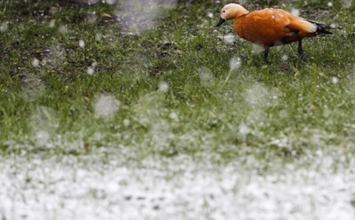 Погода в Москве: за три дня до лета возможен снег