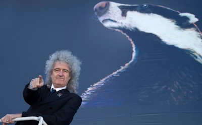 Гитарист Queen: в борьбе со СПИДом Фредди Меркьюри лишился стопы