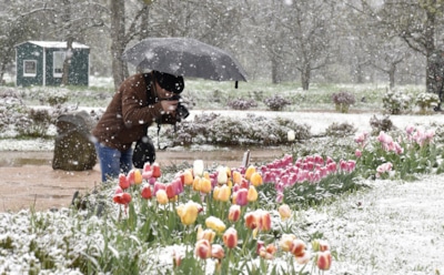 Погода в Москве: в конце мая в столицу вернется зима