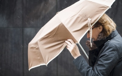 Погода в Москве: МЧС сделало экстренное предупреждение об урагане