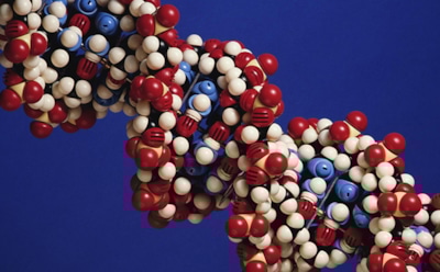 Самая большая молекула: ТОП 6 цепочек из атомов