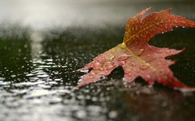 "Вечные дожди": в NASA сделали настораживающий прогноз для Земли