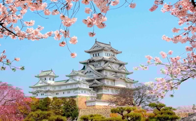 Интересные факты о Японии и японцах