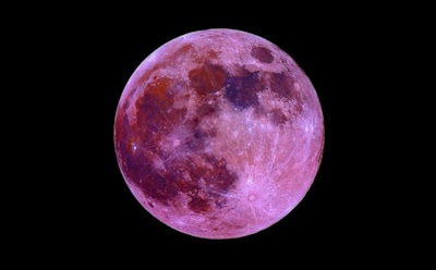 "Розовая Луна": ученые объяснили, почему спутник Земли меняет цвет
