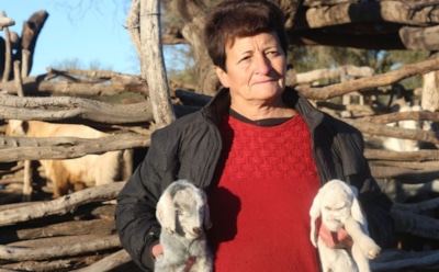 В Аргентине на свет появился козленок с человеческим лицом