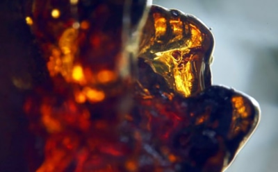 Самый большой янтарь в мире