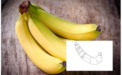 Компания Samsung запатентовала съедобный телефон-банан