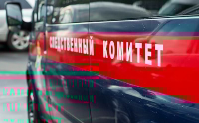 СК: в Саратове 7-летний мальчик сгорел в сарае, где его заперла мать