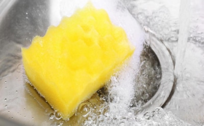 Ученые: кухонные губки для посуды смертельно опасны для людей