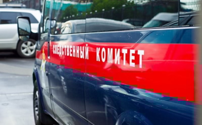 Пропавшего под Иркутском трехлетнего мальчика нашли мертвым