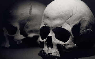 На берегу Иртыша обнаружены десятки человеческих черепов