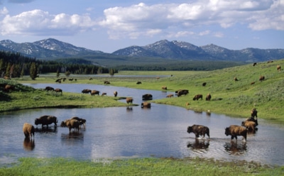 В NASA назвали новую угрозу для Земли