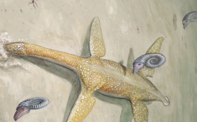 Ученые обнаружили водного «монстра» юрского периода