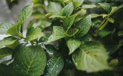 Погода в Москве: синоптики сообщили о похолодании в выходные