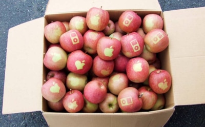 В России покупатель вместо iPhone 6 получил яблоки