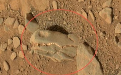 На Марсе обнаружены останки трех живых существ