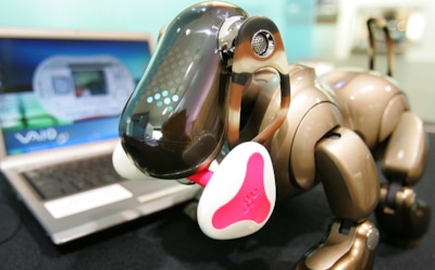 СМИ: Sony создаст домашнего робота-собаку