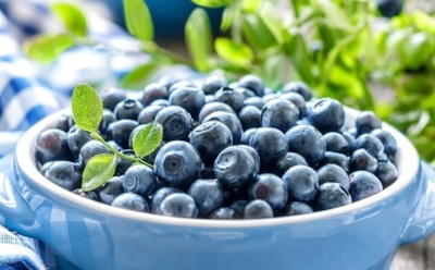 Ученые: черника поможет школьнику перед экзаменами