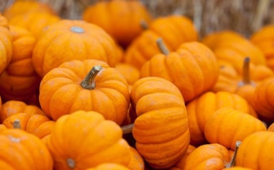 Ученые: тыква продлевает молодость кожи