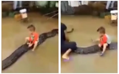 Во Вьетнаме ребенок прокатился на 6-метровом питоне