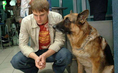 Сериал «Возвращение Мухтара»: актеры и роли