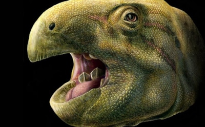 Во Франции обнаружили динозавра с зубами-ножницами